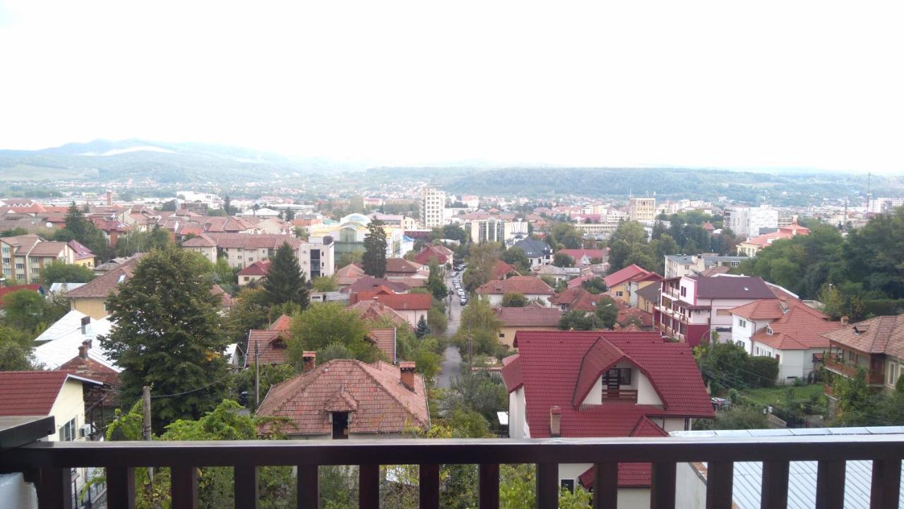 Hotel Panoramic Рымнику-Вылча Экстерьер фото