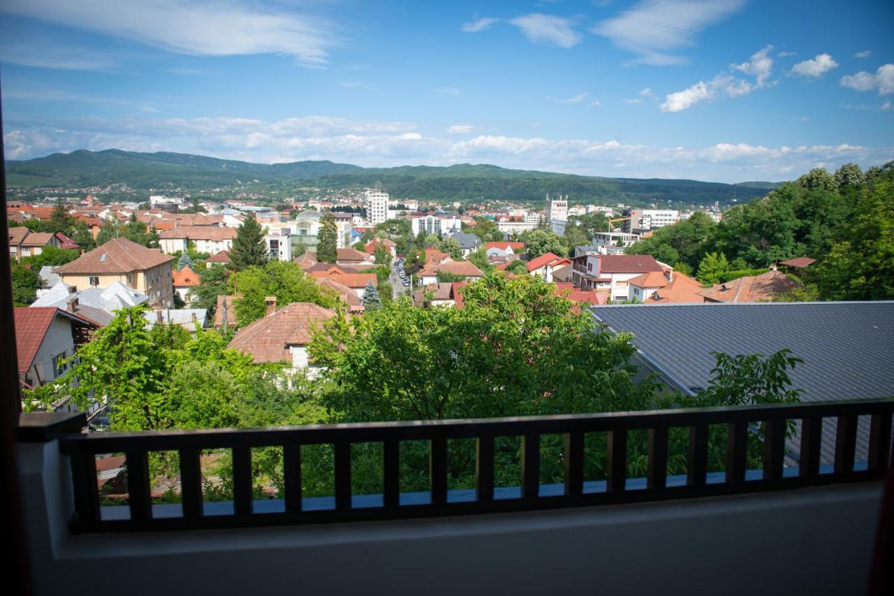 Hotel Panoramic Рымнику-Вылча Экстерьер фото