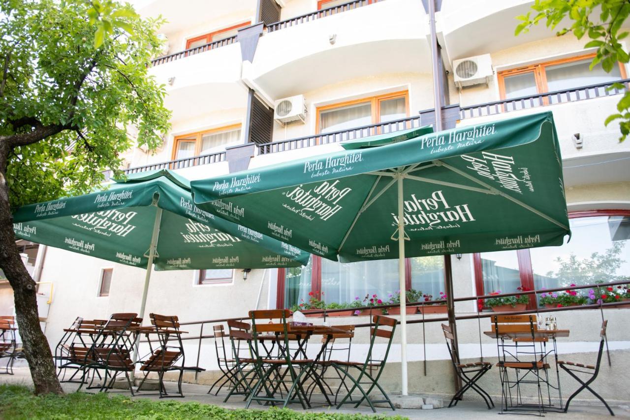 Hotel Panoramic Рымнику-Вылча Экстерьер фото