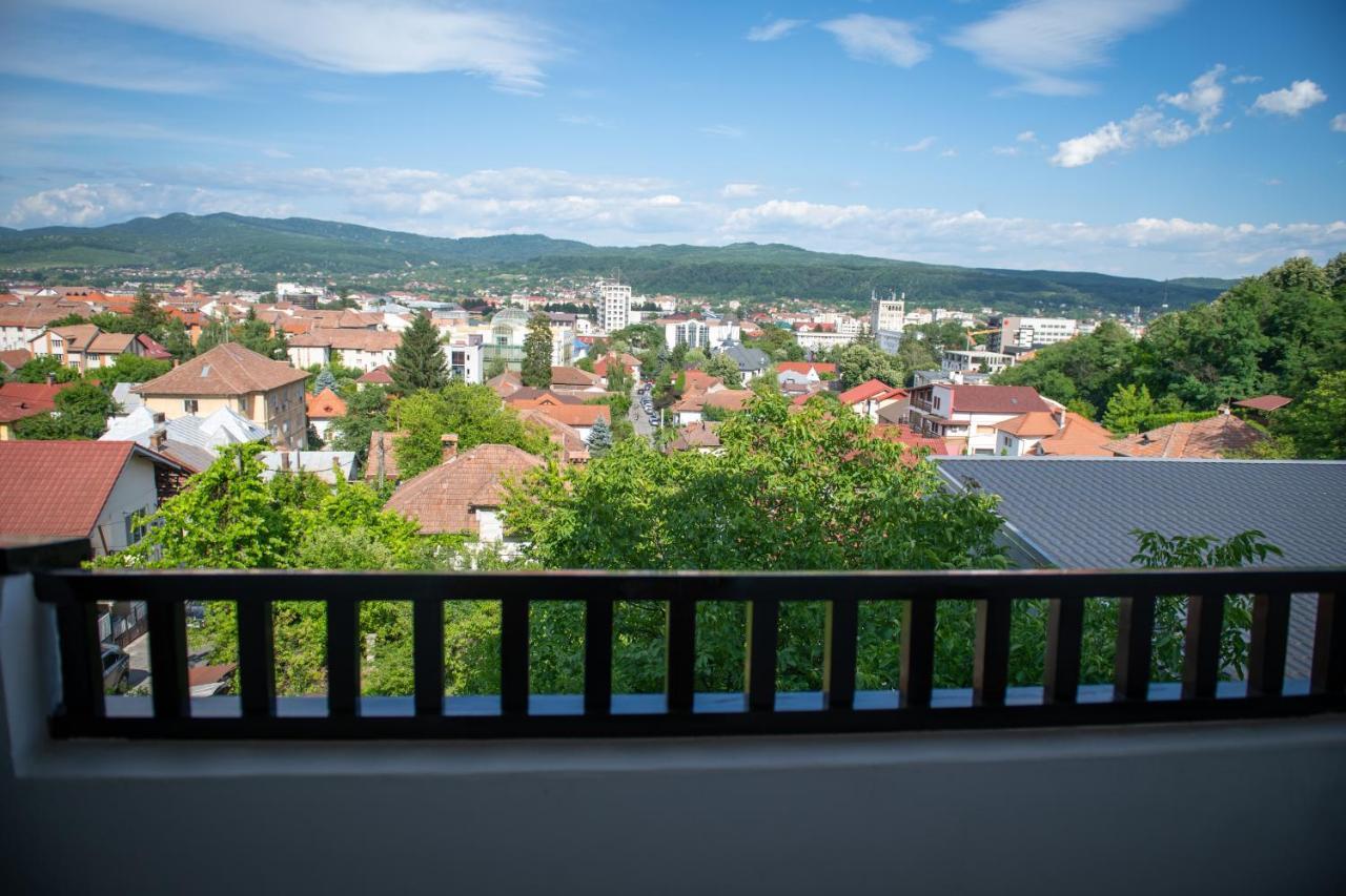 Hotel Panoramic Рымнику-Вылча Экстерьер фото